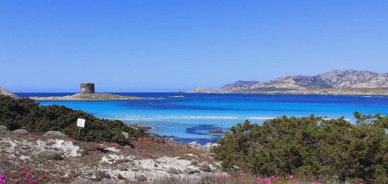 B&B Giomar Sardegna Nord Ovest Campanedda Exterior foto